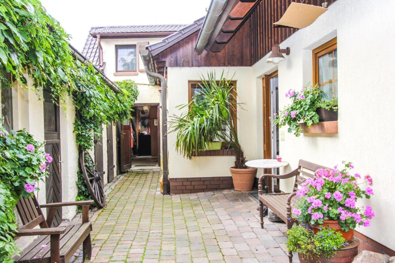 Likedeeler 3 Apartman Zingst Kültér fotó